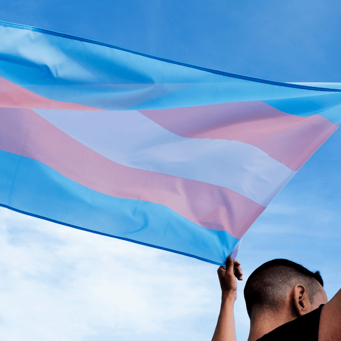 Transgender flag in the wind
