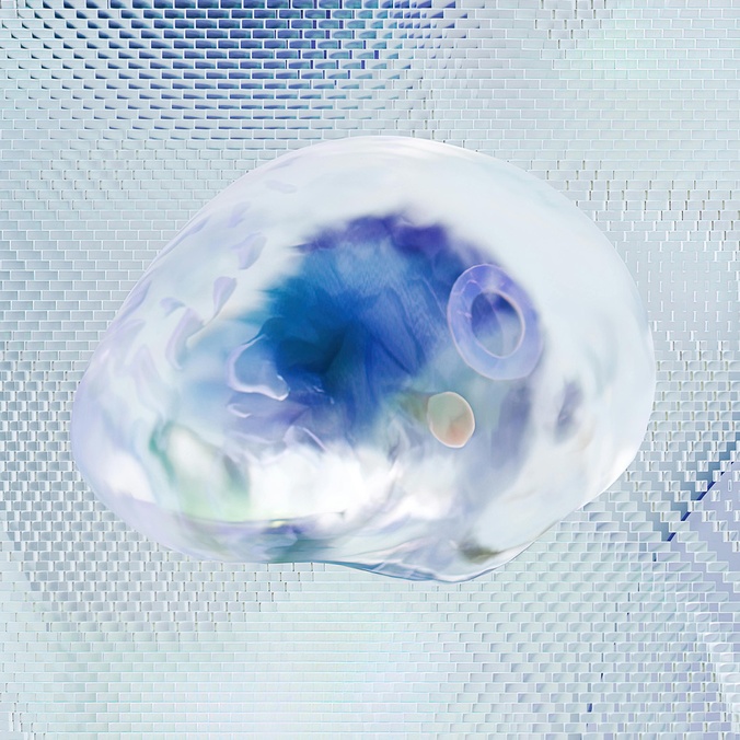 white brain illustration