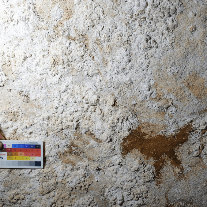 Image of a 67,800 year old hand stencil found on the island of Sulawesi