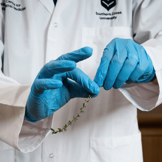 Herbs National Centre for Naturopathic Medicine