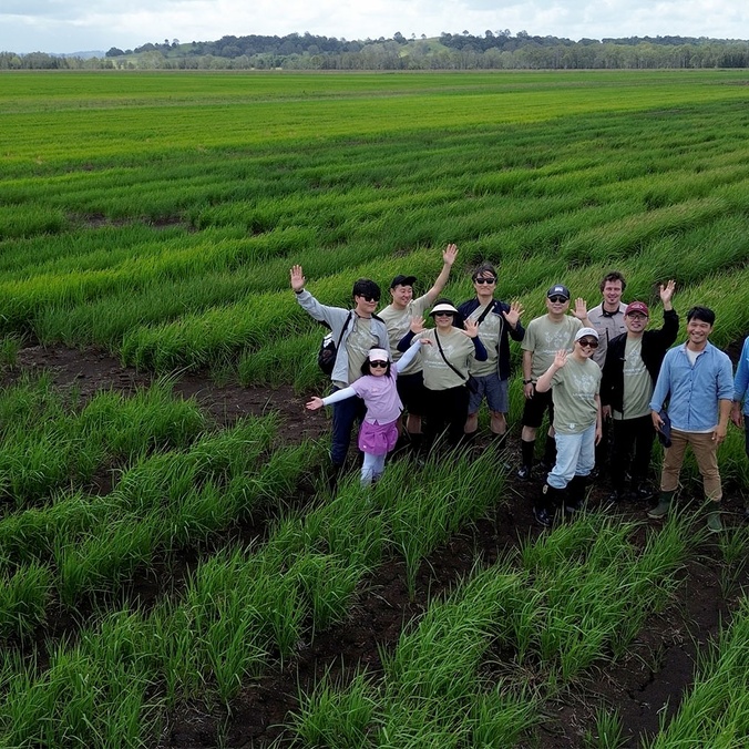 Drone shot of people standing in rice field