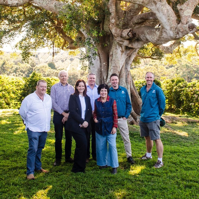 A group of people stand underneath a large tree