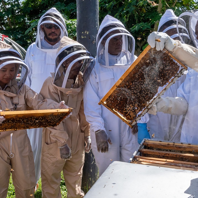 Hive training at Beekeeping Congress Fiji CREDIT ACIAR