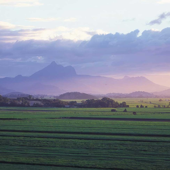 Northern Rivers landscape with Wollumbin in distance