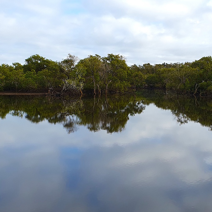A river lined with trees with the sky reflected on the water surface