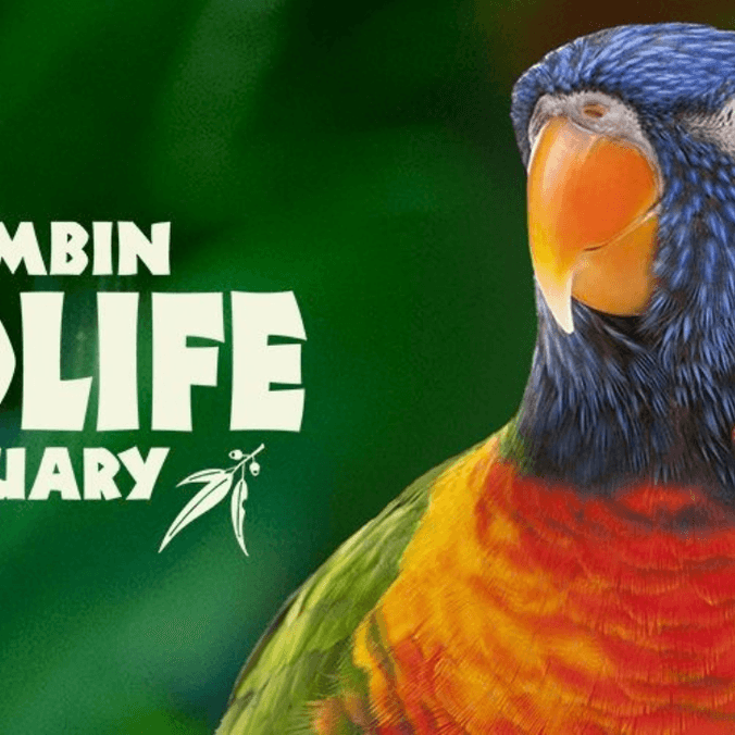 Currumbin wildlife sanctuary banner