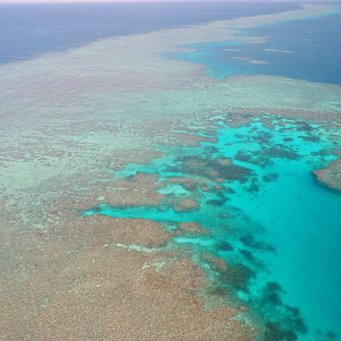 Aerial view from plane of bright blue coral reef