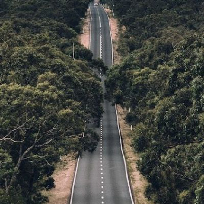 long road through bush land
