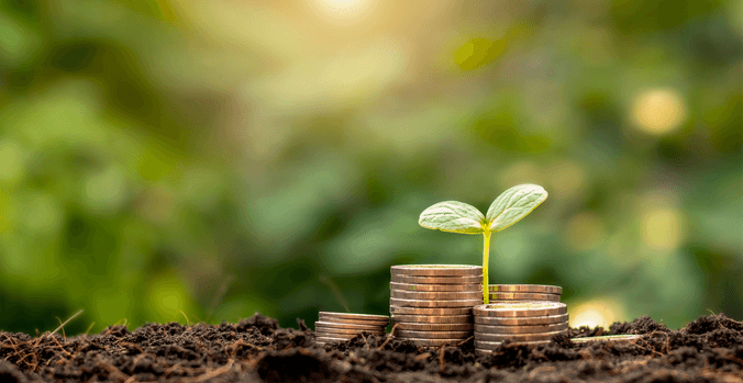 A tiny seedling from a pile of coins as a metaphor for growth - postgrad finance workshop banner