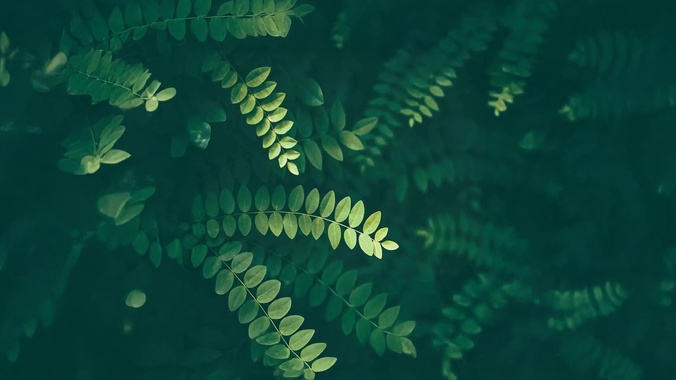 Dispute Resolution Skills and Techniques - image adjusted resized