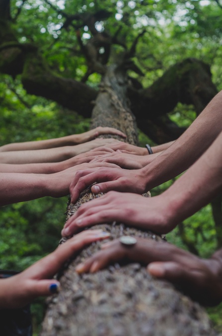 multiple hands resting on a tree