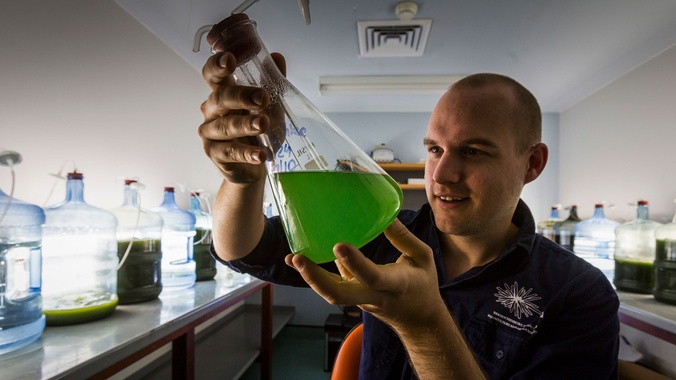 Researcher looking at a flask of green liquid