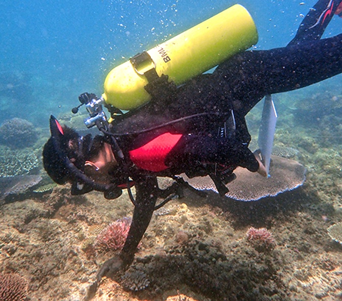 Peter-Harrison-Diver-Marine-Ecology-Centre