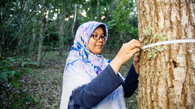 International student wearing a head scarf measuring a tree trunk as part of her Forestry degree studies