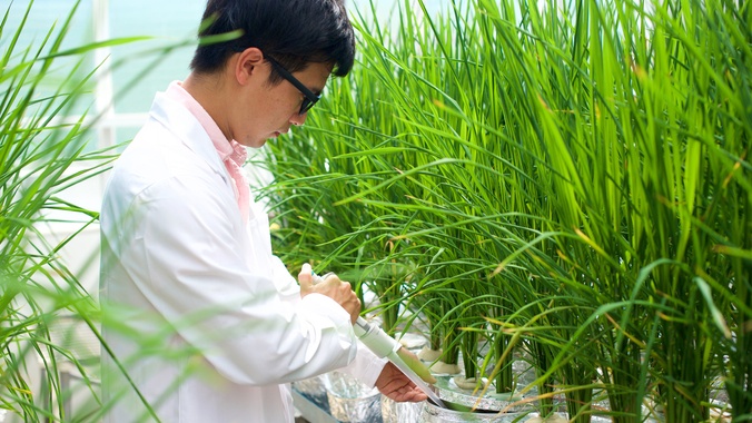 Man in lab coat conducting research in plant science laboratory