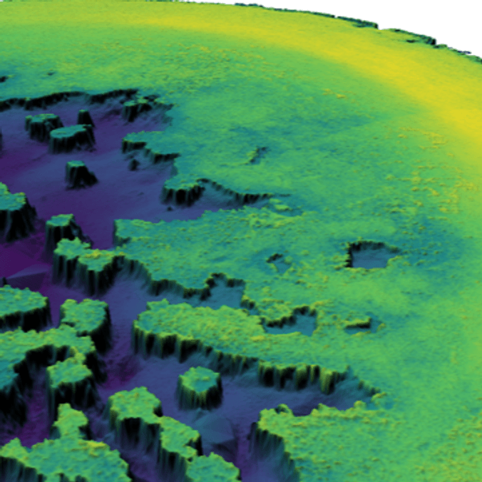 blue green coral bleaching data