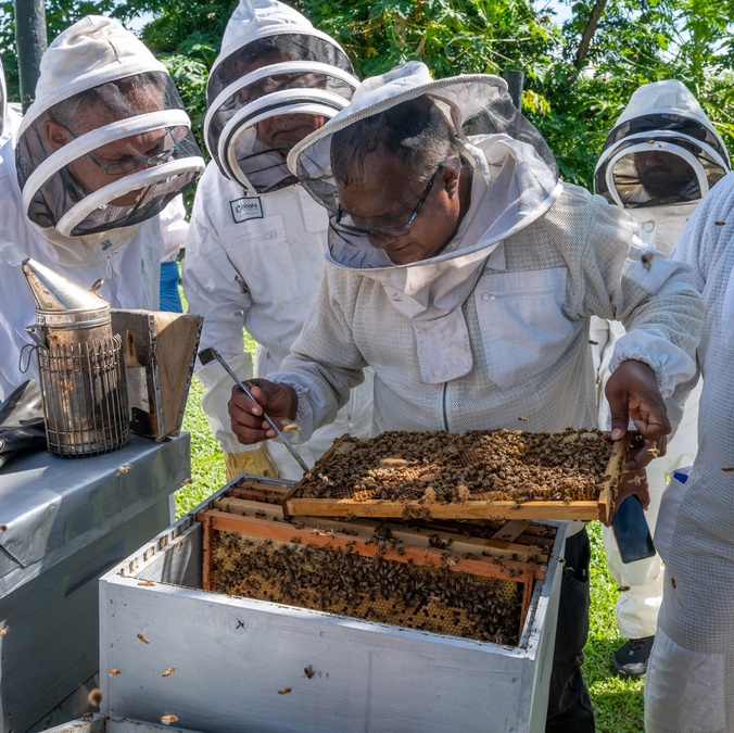 Hive training at Beekeeping Congress Fiji - photo credit ACIAR