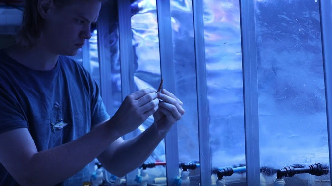 Coral researcher Conor Hendrickson in lab