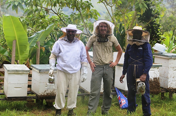 Harvesting honey in the highlands of PNG with beekeeping guru Mr Wilson Tomato (left), Dr Cooper Schouten and Mr Paki Billy in partnership with the Market Development Facility and Highlands Honey. Credit Coooper Schouten