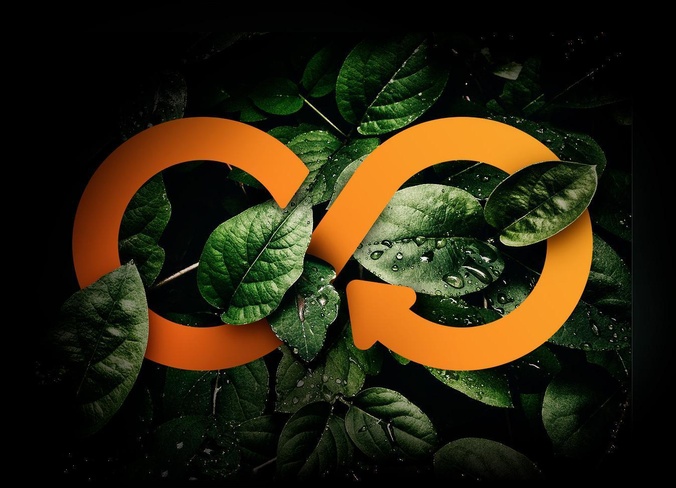 Impact Forum cropped