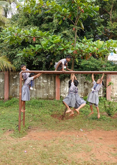 Children playing on monkey bars