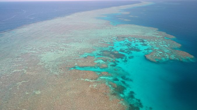 Aerial view from plane of bright blue coral reef