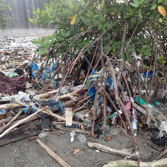 Marine plastic pollution