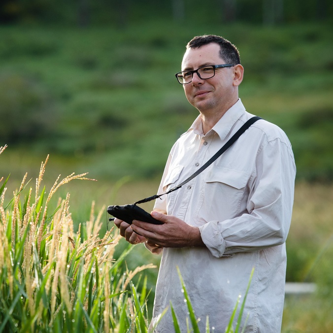 Man standing in experimental rice crop in Lismore