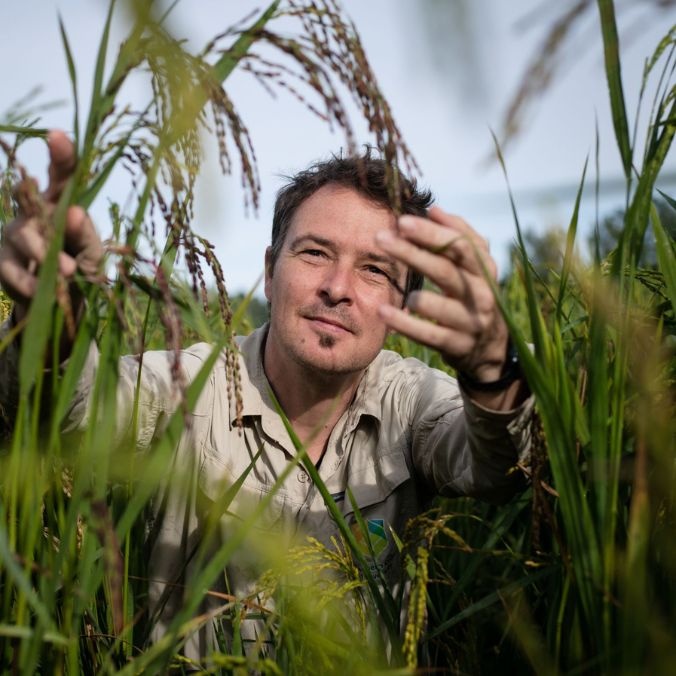Tobias Kretzschmar in a rice field
