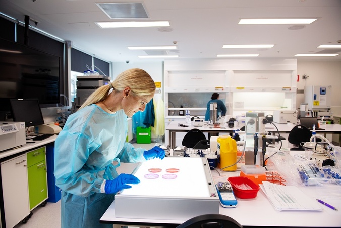Naturopathic medicine researcher in laboratory looking at petri dishes.