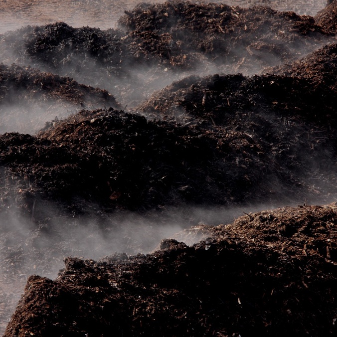 Image of three rows of steaming compost