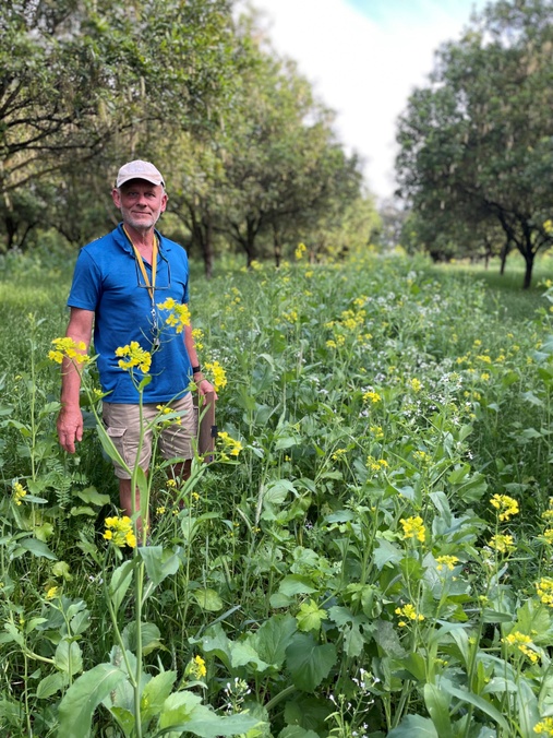 Man standing in a cover crops with yellow flowers