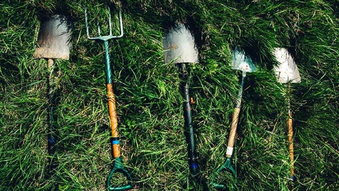 Selection of garden tools laying on the grass