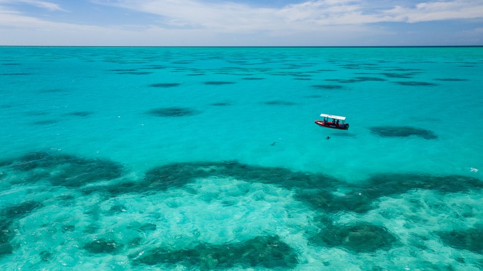 Whitsunday reef