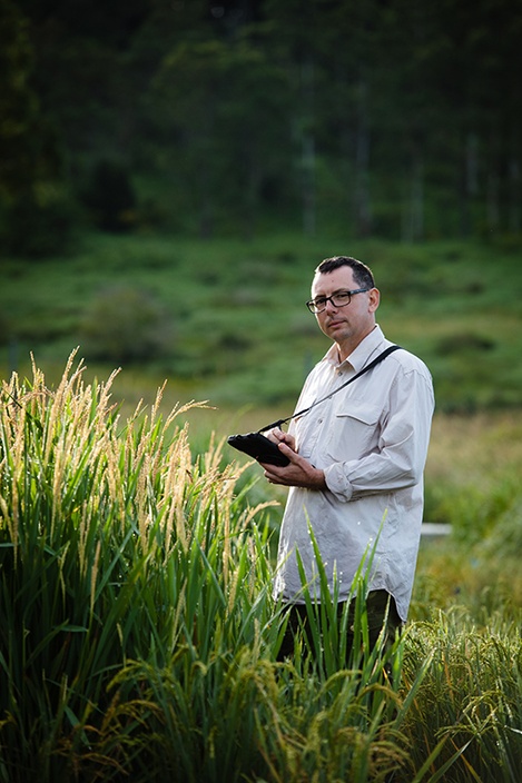 Szabolcs Lehoczki-Krsjak with experimental rice crop