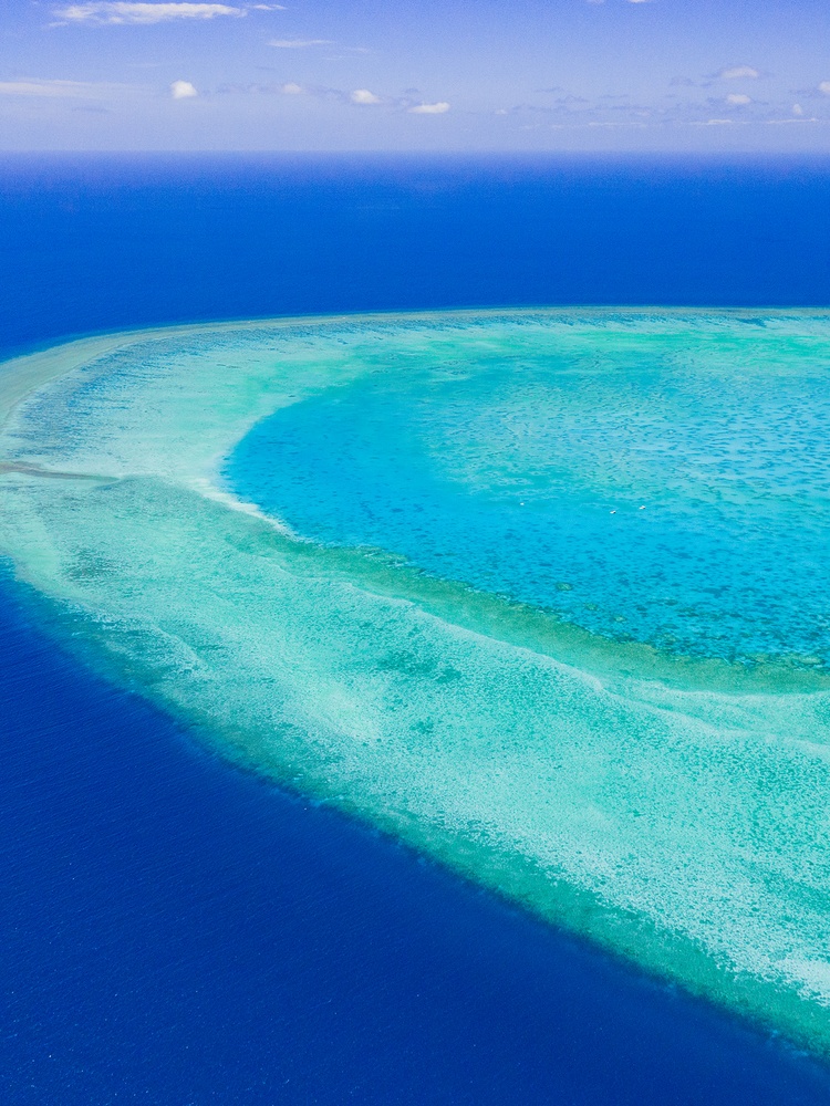 aerial view of Heron island