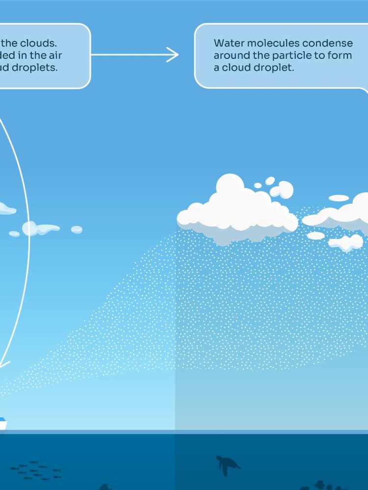 Diagram of ocean clouds boat droplets and reef