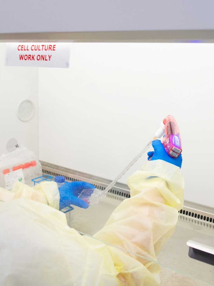 A scientist working on samples in a lab