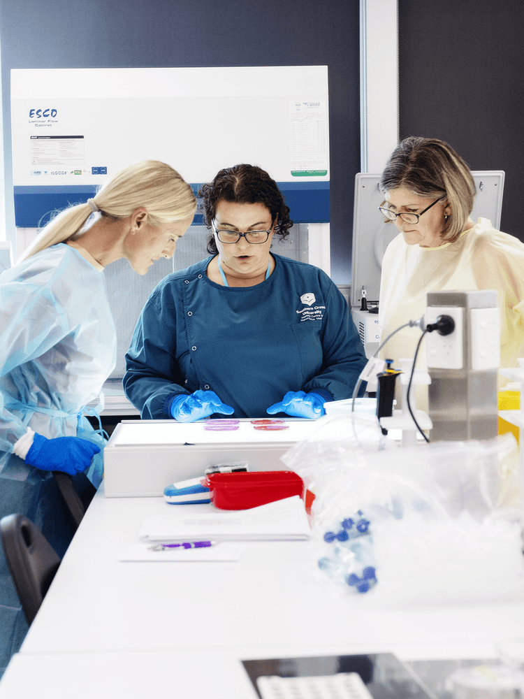 3 people consulting in laboratory