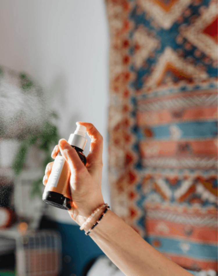 A person spraying spray into a room