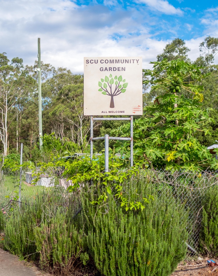 garden