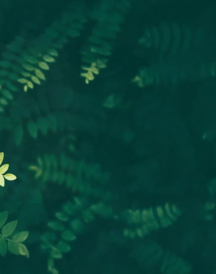 Dispute Resolution Skills and Techniques - image adjusted resized