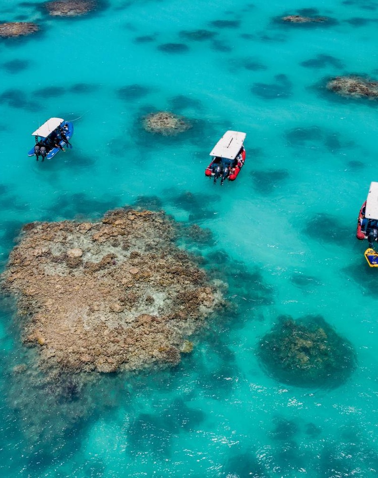Boat on a reef