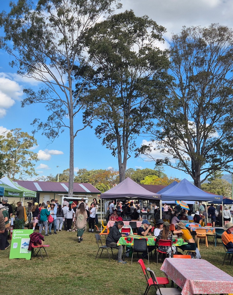 A crowd milling around tents at Tweed Wold Environment Day