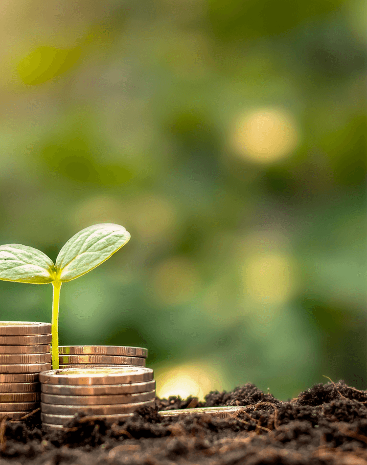 A tiny seedling from a pile of coins as a metaphor for growth - postgrad finance workshop banner