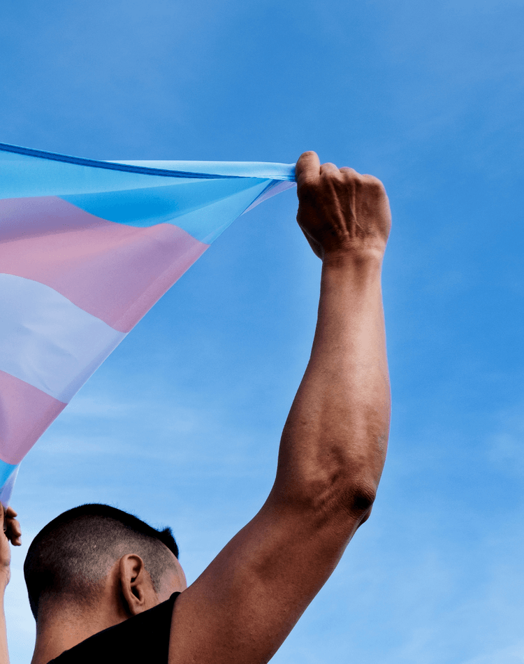 Transgender flag in the wind