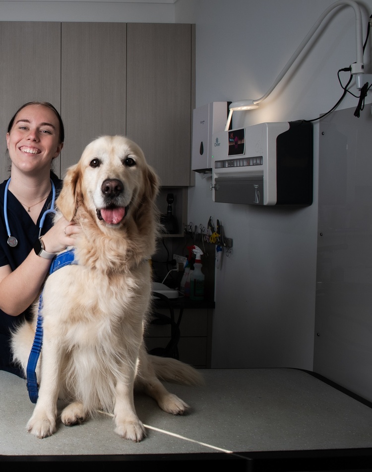 A woman in clinical scrubs with a Golden Retriever looking at the camera