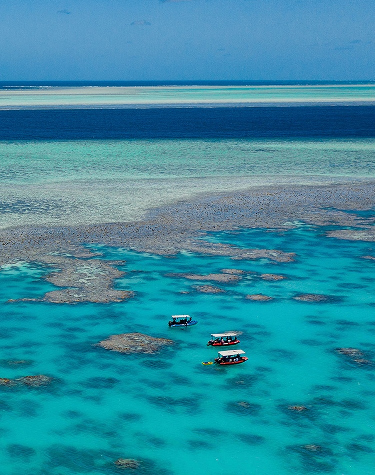 research vessels on the great barrier reef