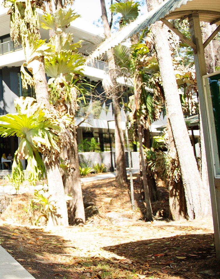 Lismore campus English College students