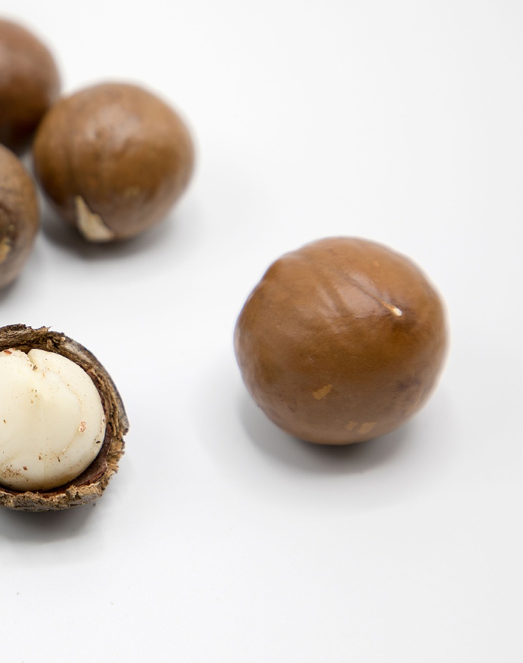 Raw macadamia nuts showing whole and open shells